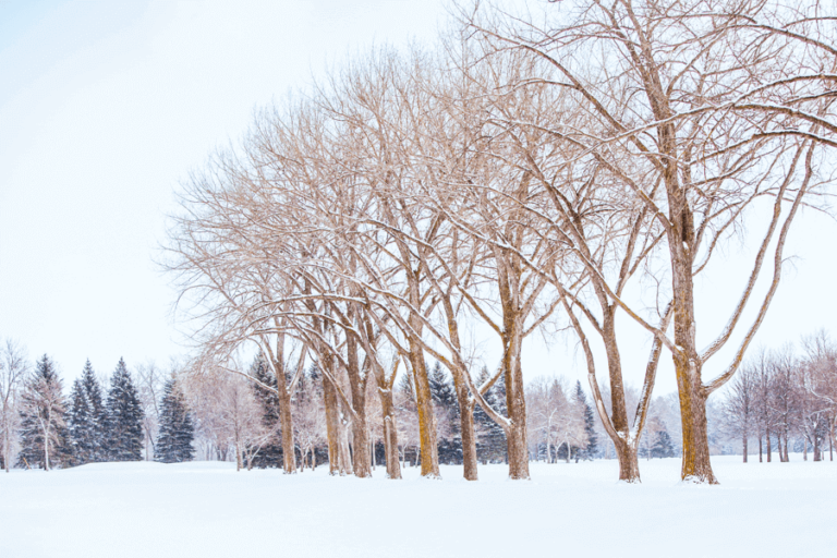 Does It Snow In North Dakota