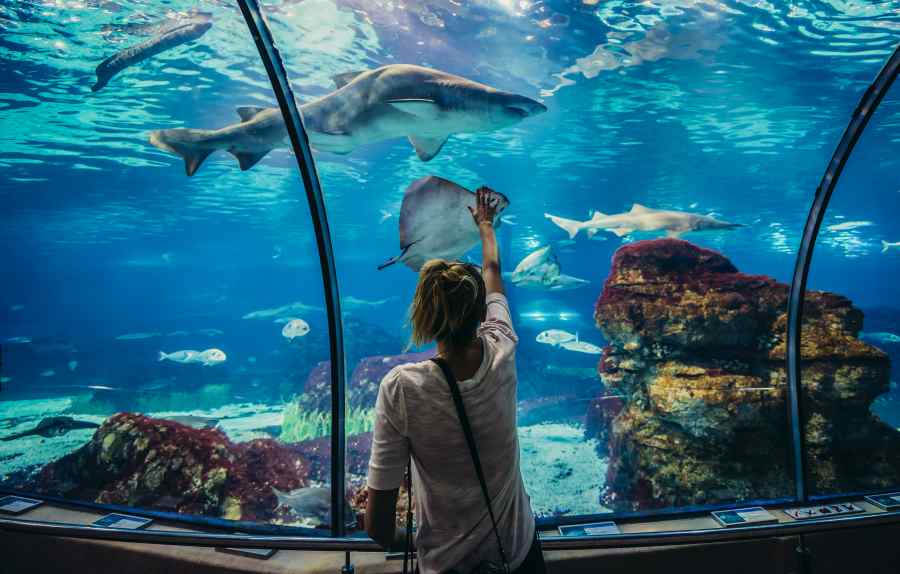 aquarium-barcelona-in-winter