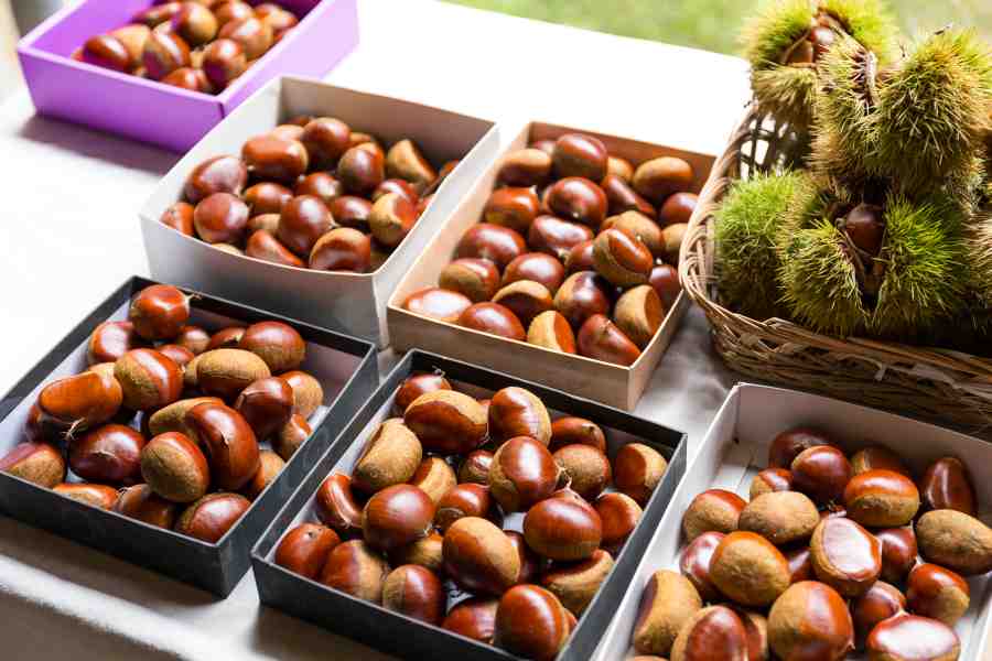 chestnut-foods-in-tenerife