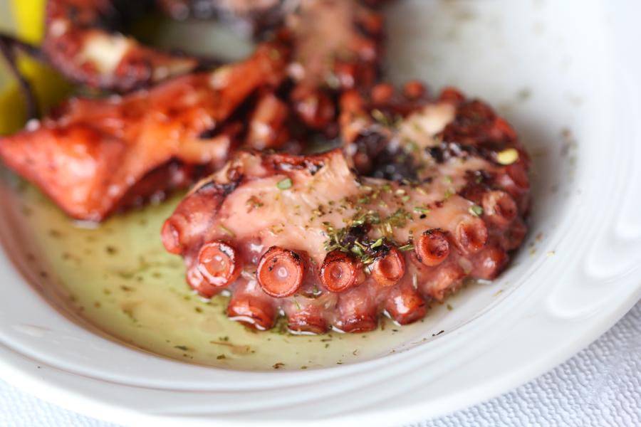 pulpo-octopus-winter-foods