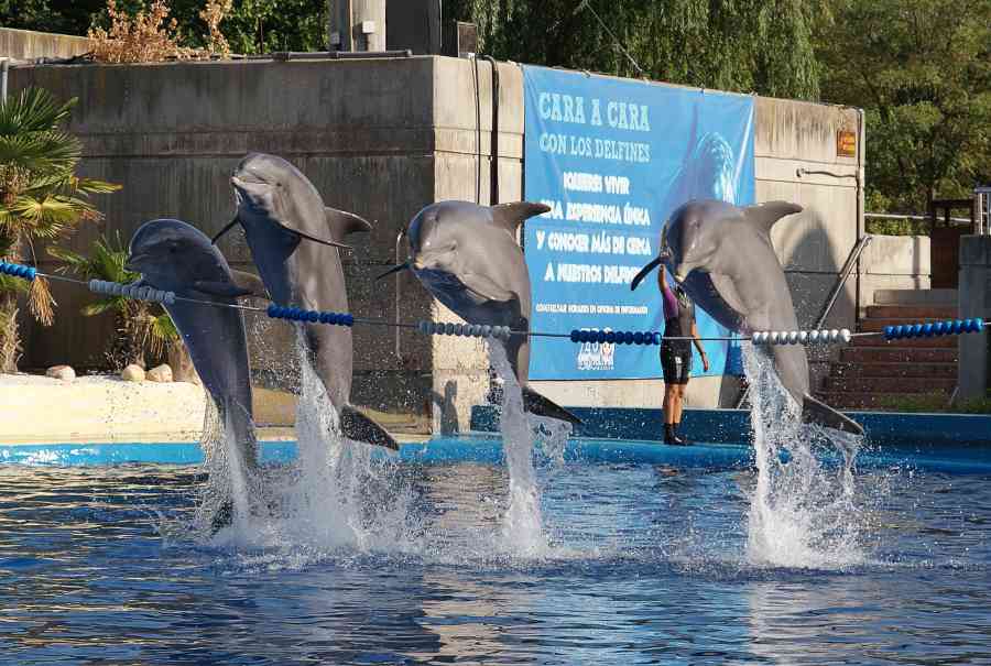 zoo-aquarium-madrid-in-winter