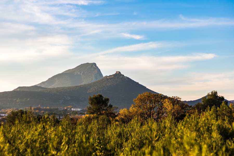 pic-saint-loup-in-winter