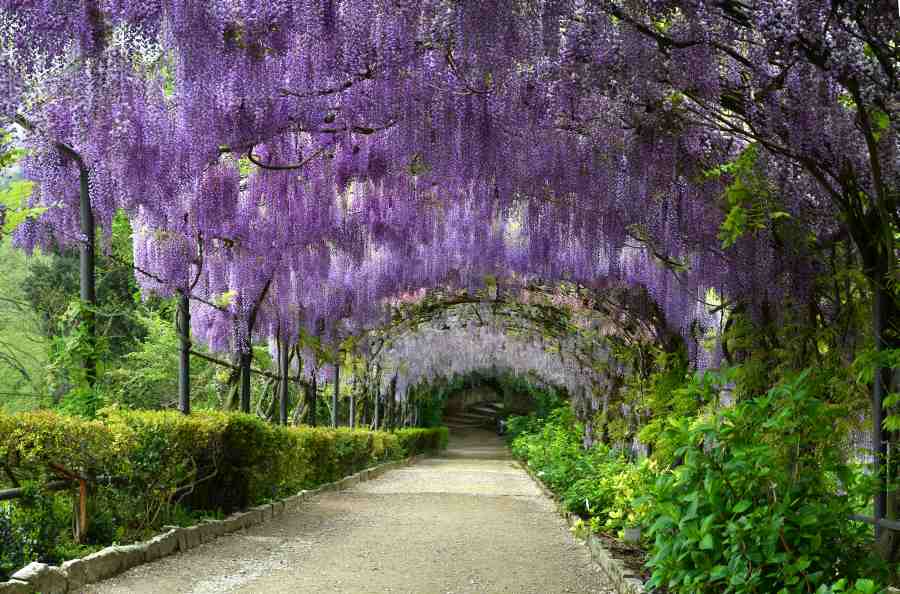 bardini-gardens-in-florence